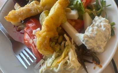 Wycieczka jednodniowa, Wycieczka Wyżerka w górach Pafos z niedzielnym meze z wyjazdem z Pafos