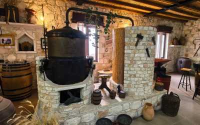 Wycieczka jednodniowa, Szlakiem Cypryjskich Winnic - Sterna Winiarnia