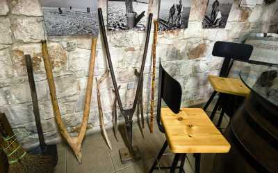 Wycieczka jednodniowa, Szlakiem Cypryjskich Winnic - Sterna Winiarnia