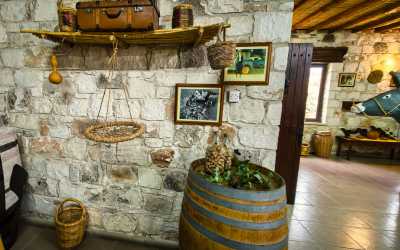 Wycieczka jednodniowa, Szlakiem Cypryjskich Winnic - Sterna Winiarnia